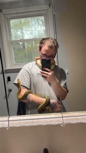 I got pooped on right after this 🙃😂 #snake #reptiles #retic #reticulatedpython #python #animals