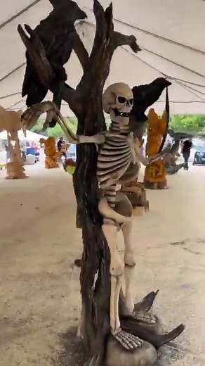 347K views · 10K reactions | You've got to see these amazing...