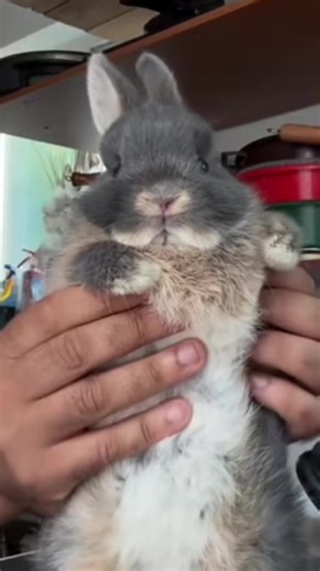 Ming vs Azula omg | azula in legend of korra