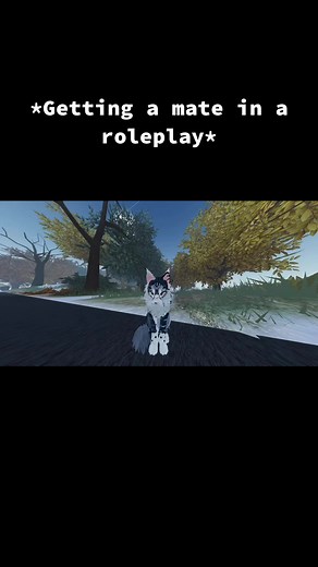 Finding a Mate in Warrior Cats Roleplay