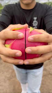 310K views · 13K reactions | es sorprendente como logra posicionarse en 2do lugar como fruta exportación, dejando por debajo al mango. ¿cuanto cuesta una sembrar una hectárea de pitahaya en Ecuador? ¿cual es el precio por kilo? ¿con que países tenemos mercado? ¿cuantos kilos anuales puede llegar a producir una hectárea? todo esto y más en este video﫶 | Vida Ecuatoriana | Facebook