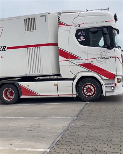 Altijd een mooi moment als er weer een van onze vrachtwagens op pad gaat! 🚛 #Chickliner #OnTheRoad #Eendagskuikens #Transport #chicklinertruck | Chickliner Int. Transport