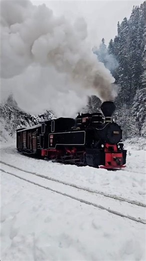 Mocănița Steam Train Ride in Maramureș! Romania 🚂🌲❄️
