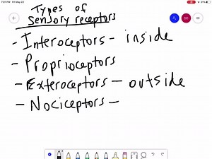 SOLVED:Mechanoreceptors that detect pressure changes in the walls of blood vessels as well as in portions of the digestive, reproductive, and urinary tracts are (a) tactile receptors (b) baroreceptors (c) proprioceptors (d) free nerve receptors