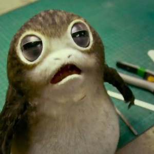 5.5M views · 721 reactions | Forget Ewoks! Porgs are now the cutest Star Wars creatures. | In The Know | Facebook