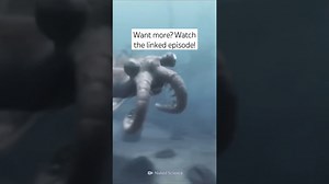 Why Eating in the Cambrian Era Would Be Deadly and Strange