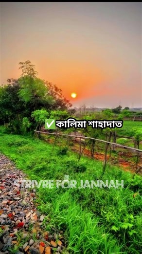 কালিমা শাহাদাত | ইসলামের প্রথম স্তম্ভ | Strive for Jannah