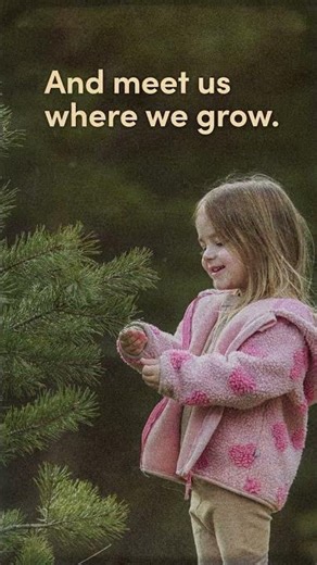 The Million Trees Project