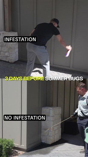 How Summer Bugs Get Into Your Home