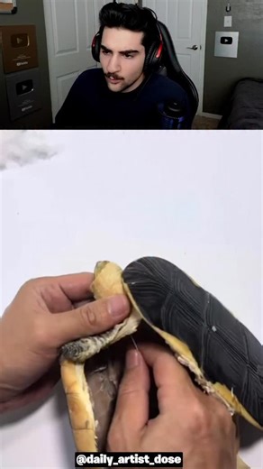 Riley Haghian on Instagram: "How Taxidermy Works 🤯"