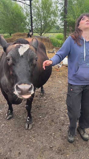Great to have students and staff visit us from Silver Wood school for a VIP animal tour special children from a great school. Thanks Jess for your help #schoolvisit Silverwood School - Rowde Campus | Caenhill Countryside Centre