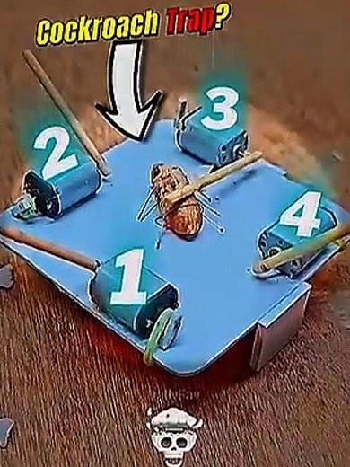 Worlds Best Trap Ever! 🌎👌 | Incredible Trapping Skills |Trap | #Shorts