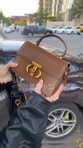 Stylish Brown Handbag Review with Gold Clasp