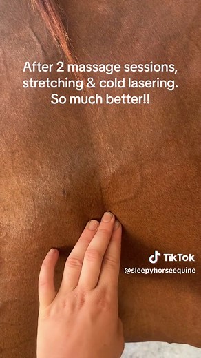 Horse Muscle Spasms Treatment: Before & After Video