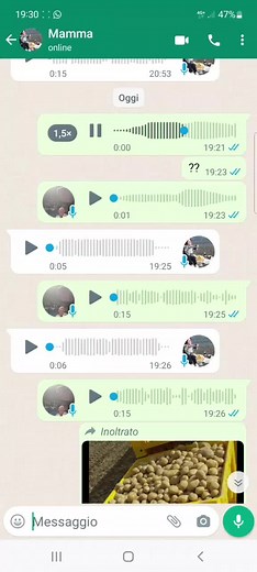 Voice Messaging Insights: Understanding Audio Conversations