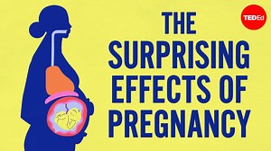 What we know— and don’t know— about pregnancy's effects on the body and brain: | TED-Ed