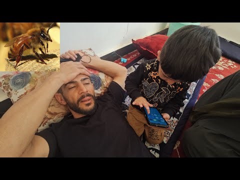 "Buzzing Trouble: Ali's Nomadic Life and the Bee Attack"