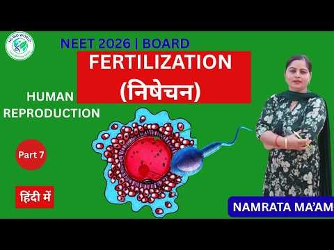 Fertilization in Humans | Process, Site & Events | Human Reproduction Part 7 | NEET Biology
