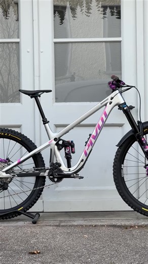 Bike Ninja on Instagram: "Pivot Firebird⚡️😈 . new bike for our junior shoprider @die._go13 . #bike #pivotcycles #downhill #freeride #bikebuild"