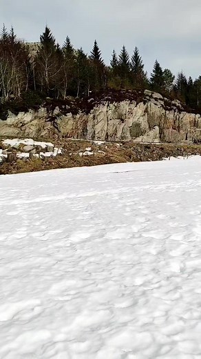 Norweskie poroża 🤣 Pierwszy znaleziony zrzut.....i ogromne emocje 🐟🎣♥️ #norway | Arek Kolsut