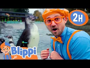Blippi Learns About Penguins at the Zoo! | Educational Kids Videos | Moonbug Kids