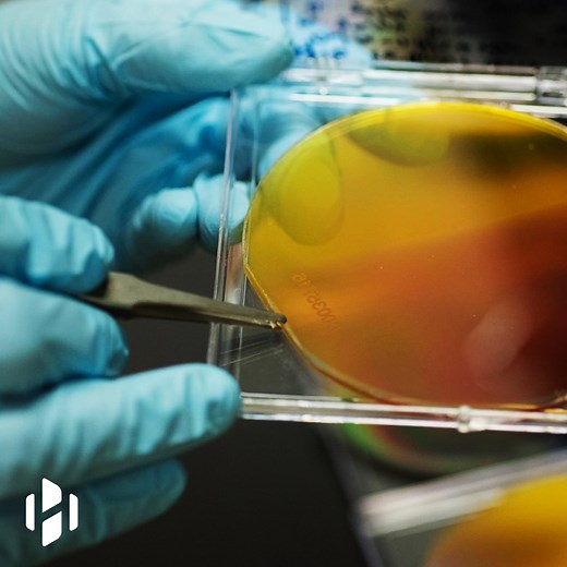 New device stores energy from artificial photosynthesis. | Hashem Al-Ghaili