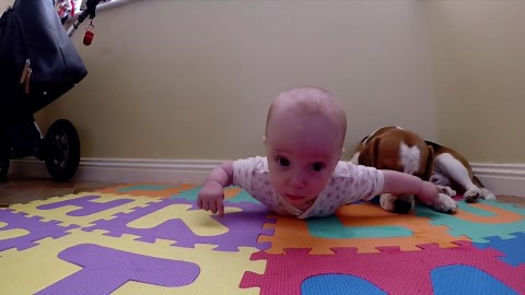 Baby learns how to love from her beagle dog