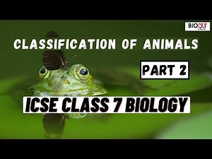 Classification of Animals | Part 2 | ICSE Class 7 Biology