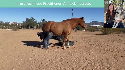 3K reactions · 232 shares | The Trust Technique® is a mindful...