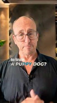 What PUPPIES Can Teach You About Leading a High-Performing Team