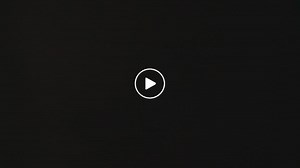 Florida State Park Cam