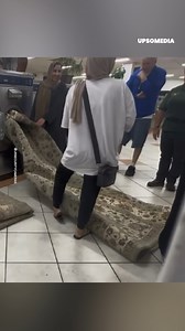 A scene that left everyone wondering: did they really think it was going to work? | Hallelujah