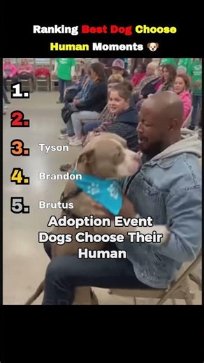 5 Dogs Who Chose Their Humans ❤️ Most Emotional Dog Moments