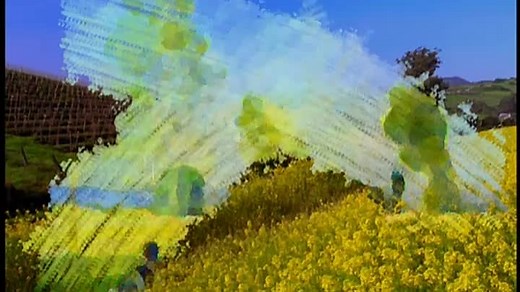 Baby Monet - Summer (DVD Rip)