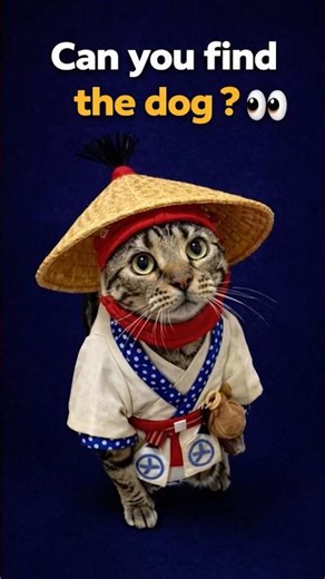 Impossible Challenge: Find The Dog 🐕