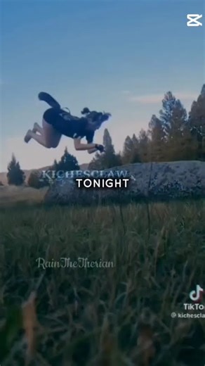 "i'm running with the wolves" (#therian #edit #wolfwalkers #dogtherian #cattherian #quadrobics)