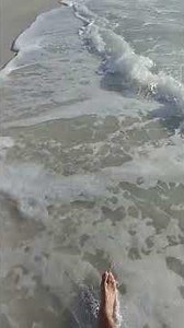 Virtual Beach Walk l Anna Maria Island, FL l Dans's Florida Condos