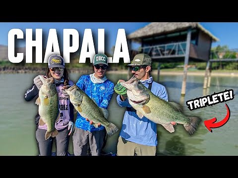 Primera Vez? Dónde y Cómo Pescar en CHAPALA // Pesca de lobina