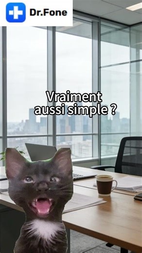 Ce chat, c’est moi le lundi matin quand j’oublie mon code au pire moment possible. #drfone #memes
