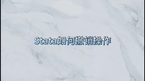 Stata如何撤销操作
