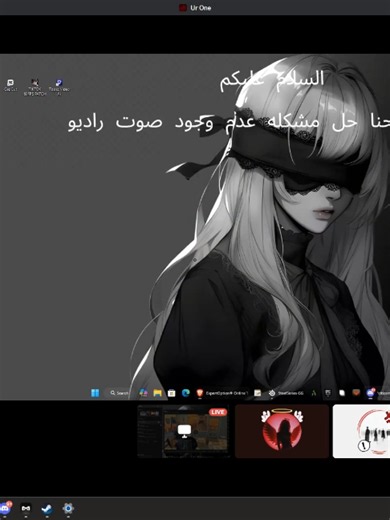 Solve FiveM Discord Voice Issues with Voicemeeter and SteelSeries