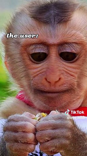 L E G O (@lego_mlbb)’s videos with Cupid - conan