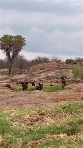 3.7K views · 48 reactions | These are the faces of successful...