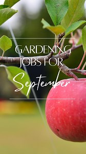 3.7K views · 17 reactions | Gardening Tasks for September ...