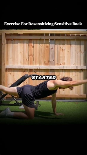 Fix a Sensitive Back Without Surgery or Pills ? ‪@lowbackability‬ #backpain #backstrength