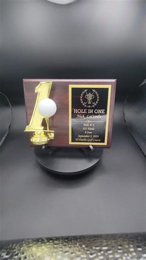 Hole in One Engraved Plaque, Engraved Golf Plaque, Hole in One Award, 7x9 Hole in One, 8x10 Hole in One Plaque, Golf Ball Holder Plaque - Etsy