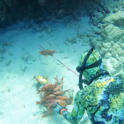 Hawaii Style Underwater Hunting #spearfishing