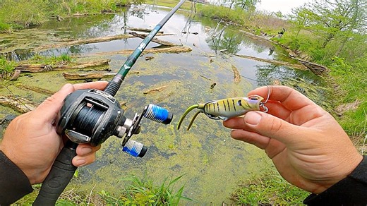 Catching my biggest bass of the year on a frog lure