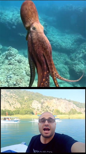 Ahtapotun Gizemli Zekâsı | The Mysterious Intelligence of the Octopus 🐙🧠