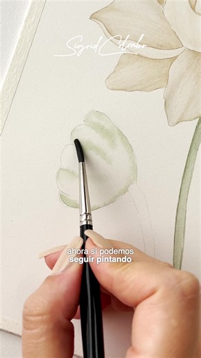 ⭐️Tip de acuarela, para limpiar manchas sobre tu cartulina. #arte #artista #acuarela #watercolor #pintura #dibujo #arttips